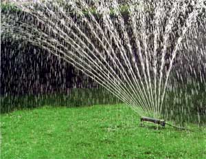 Как поливать газон?